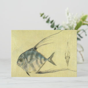 African Pompano Fish, Vintage Threadfin Trevally