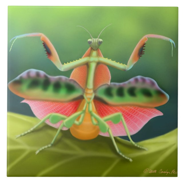 African Praying Mantis Tile (Front)