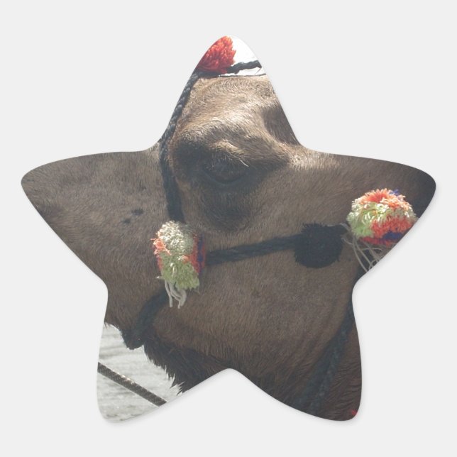 African Purple and Yellow Kaleidoscope Traditional Star Sticker (Front)