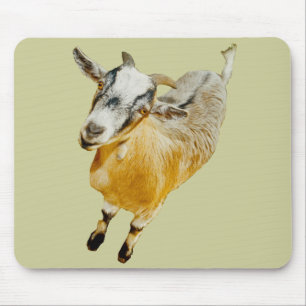 African Pygmy Goat Mouse Pad