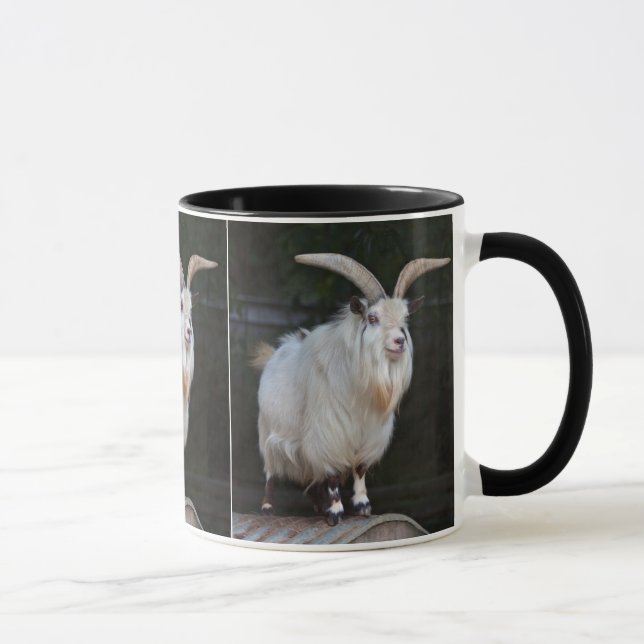 African Pygmy Goat Mug (Right)