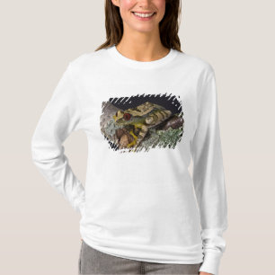 African Red Eye Treefrog, Leptopelis T-Shirt