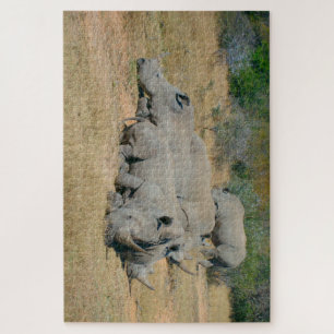African Rhino Family Resting Puzzle