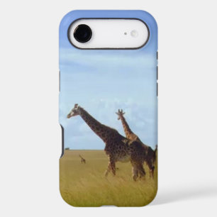 African Safari Giraffes