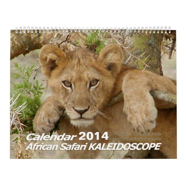 African Safari KALEIDOSCOPE Calendar 2014 2-Pg. (Cover)
