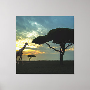 African Safari Sunset Stretched Canvas Print