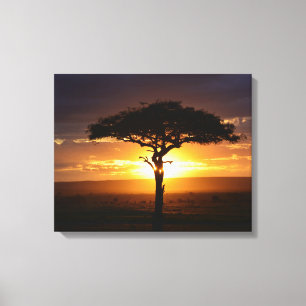 African Safari Sunset Stretched Canvas Print