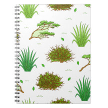 African Savanna landscape pattern