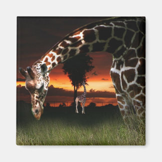 African School Field Magnet