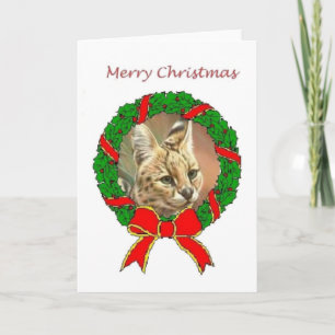 African Serval Christmas Card