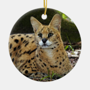 African Serval Christmas Ornament