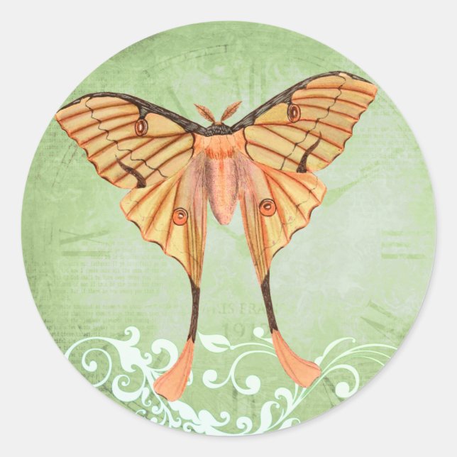 African Silk Moth Classic Round Sticker (Front)