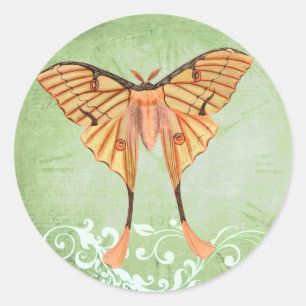 African Silk Moth Classic Round Sticker