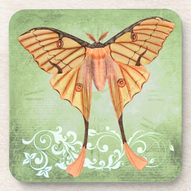 African Silk Moth Coaster (Front)