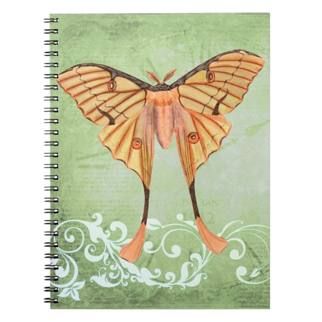 African Silk Moth Notebook (Front)