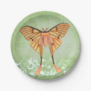 African Silk Moth  Paper Plate