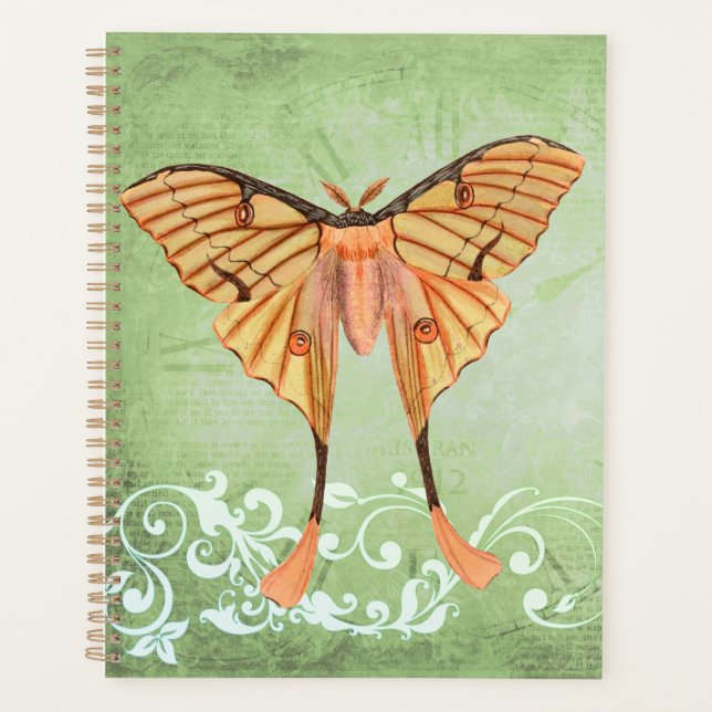 African Silk Moth Planner (Front)
