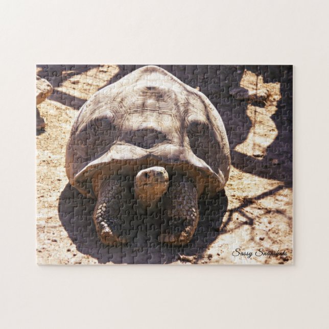 African Spurred Tortoise Jigsaw Puzzle (Horizontal)