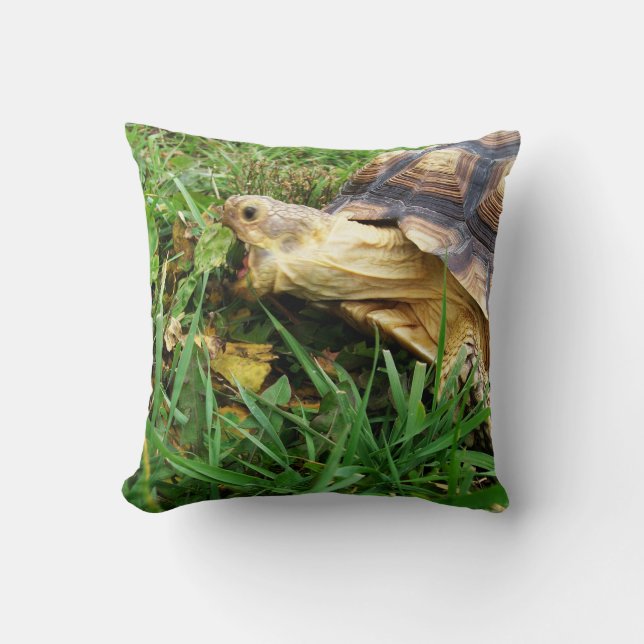 African Spurred Tortoise, Sulcata, Eating Grass Throw Pillow (Front)