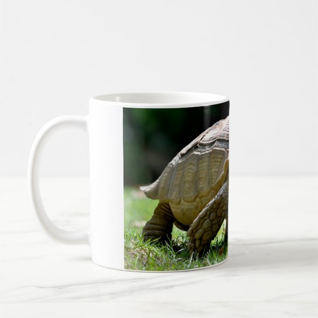 African spurred tortoise walking on grass postcard coffee mug (Left)