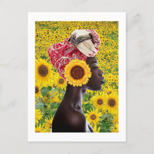 African Sunflower Postcard