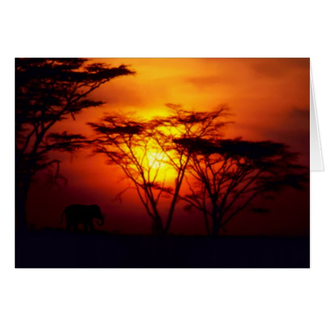 African Sunset Card (Front Horizontal)