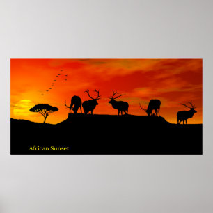 African Sunset image for Poster