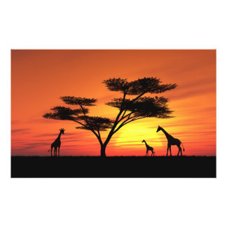 African Sunset Photo Print