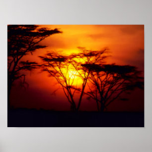 African Sunset Poster