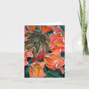 African Tulip Tree Notecard