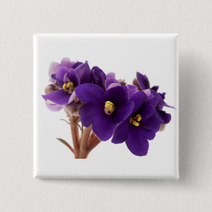 African violet 2 inch square button