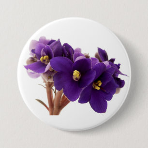 African violet 3 inch round button