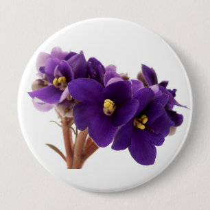 African violet 4 inch round button