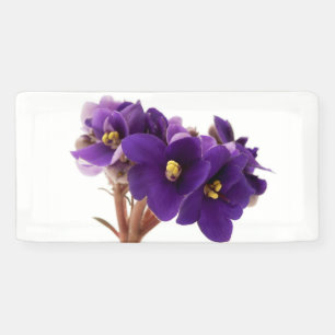 African violet banner