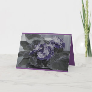 African Violet birthday Card