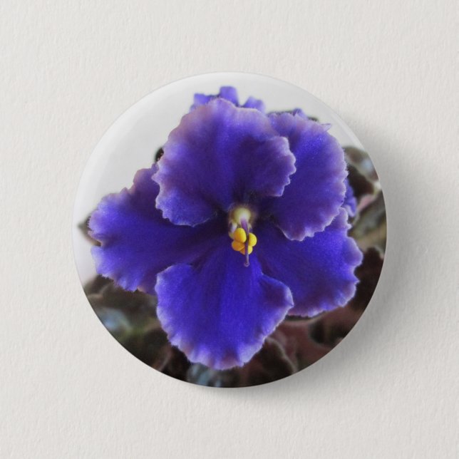 African Violet Blooming 2 Inch Round Button (Front)