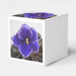 African Violet Blooming Favor Box