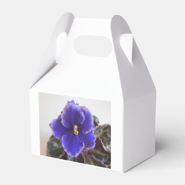 African Violet Blooming Favor Box (Front Side)