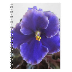 African Violet Blooming Notebook