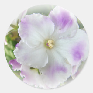 African Violet Blossom Classic Round Sticker