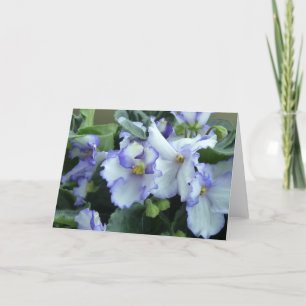 African Violet Card