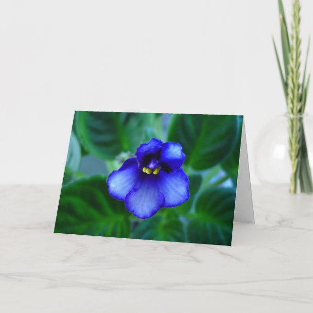 African Violet Card (Front)