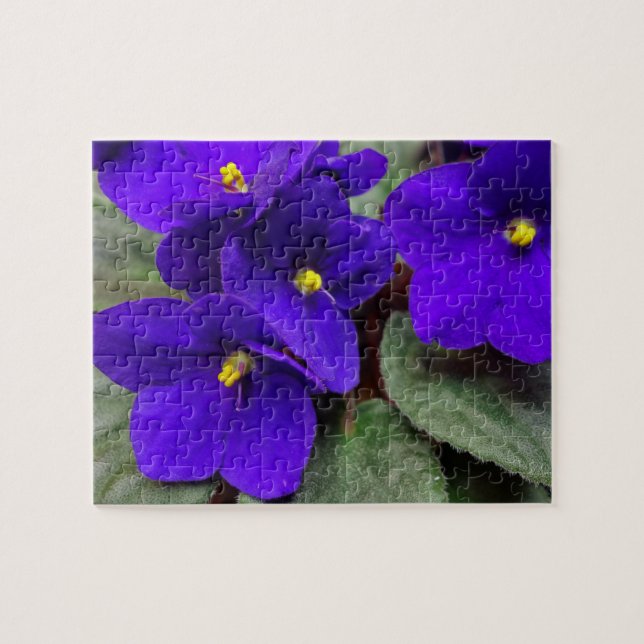African Violet Flower Puzzle (Horizontal)