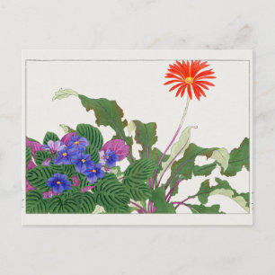 African violet, Gerbera by Tanigami Konan Postcard