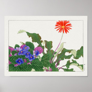 African violet, Gerbera by Tanigami Konan Poster