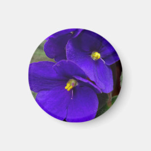 African Violet Magnet