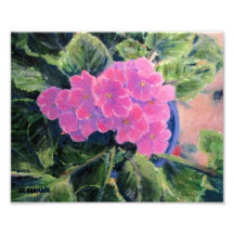 African Violet