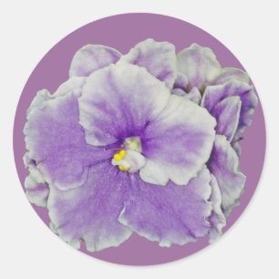 African Violet Purple Classic Round Sticker