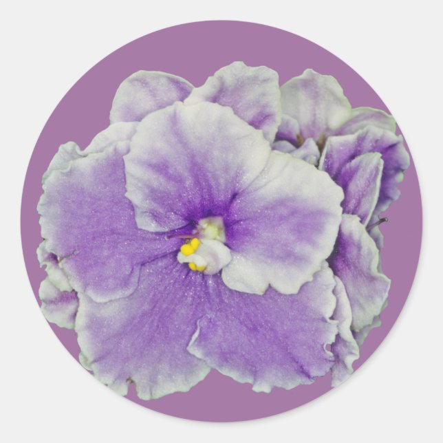 African Violet Purple Classic Round Sticker (Front)