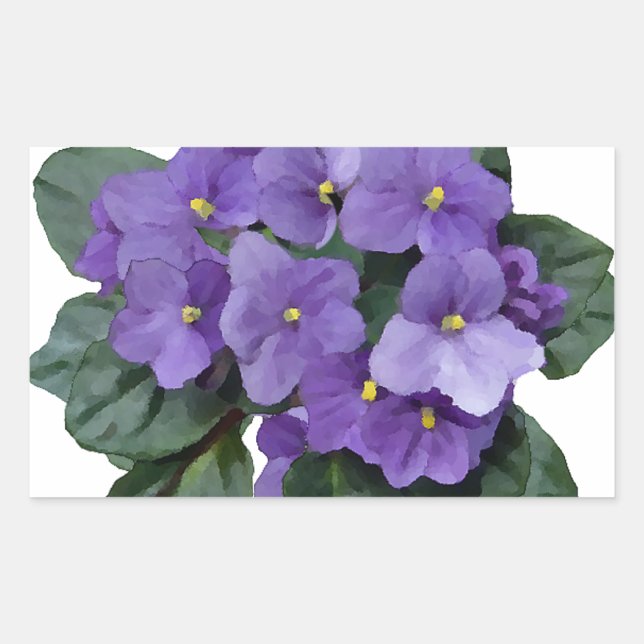 African Violet Purple Garden Flower Sticker (Front)